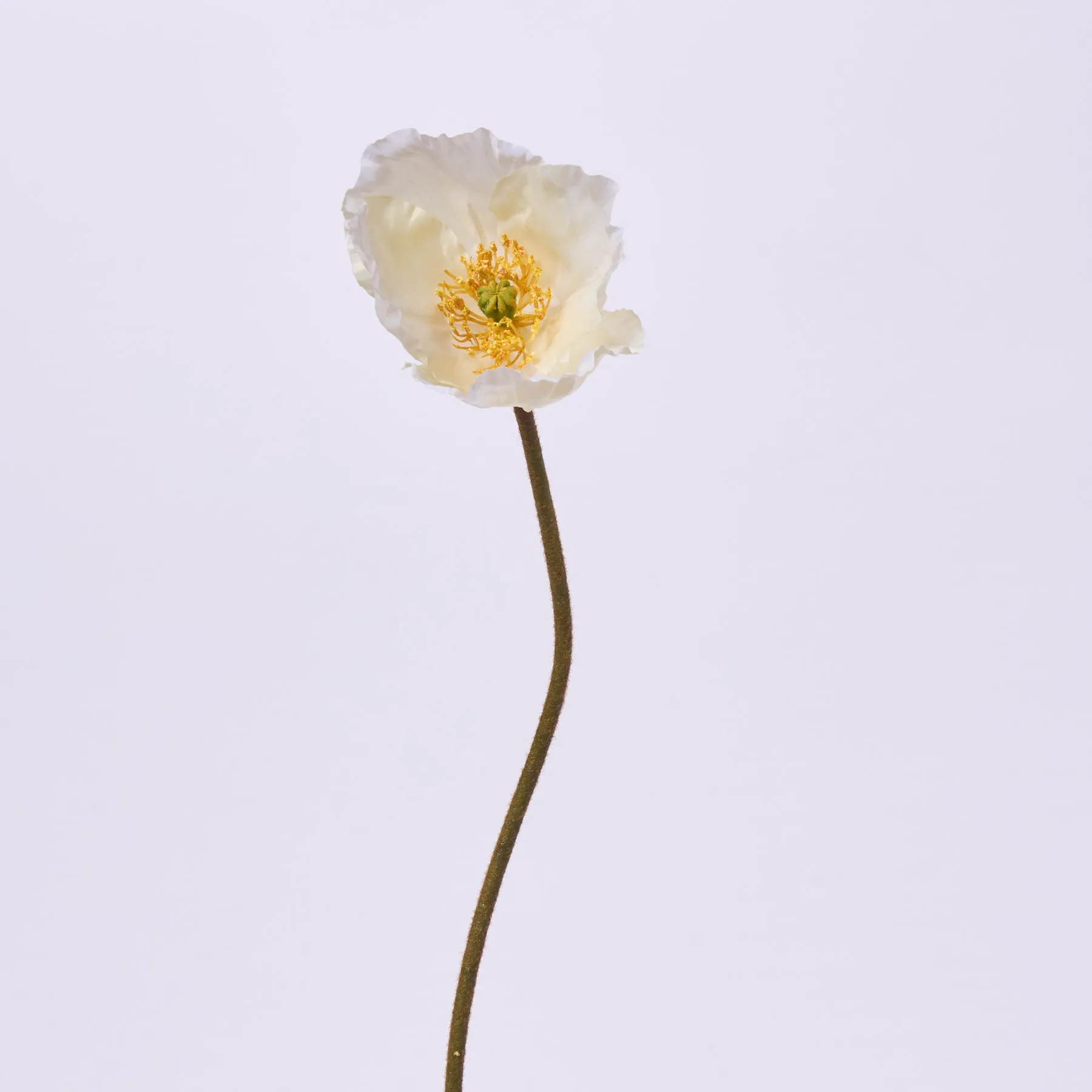 Cream Poppy Bloom Single Stem Faux Floral Spray - 23"