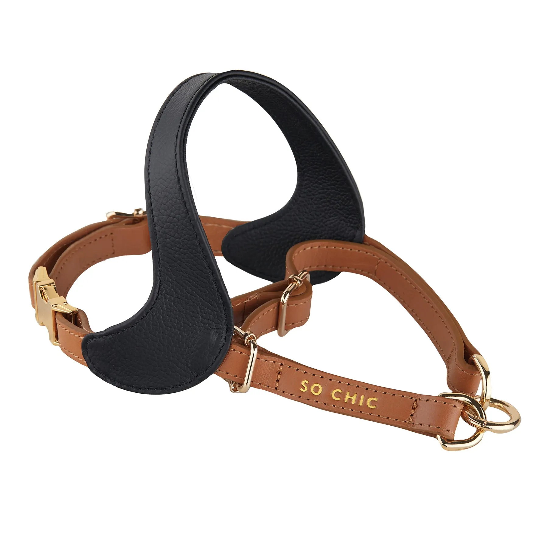 Harness - Black & Brown